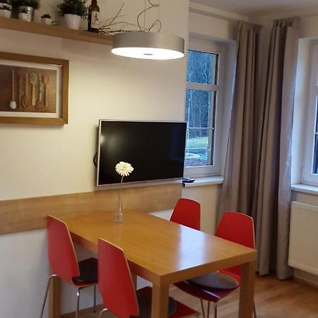 Rokytka Apartman 217 ロキトニツェ・ナト・イゼロウ エクステリア 写真