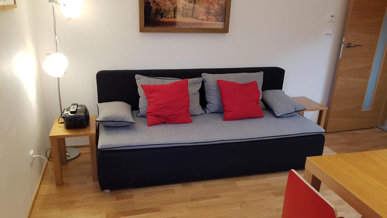 Rokytka Apartman 217 ロキトニツェ・ナト・イゼロウ エクステリア 写真