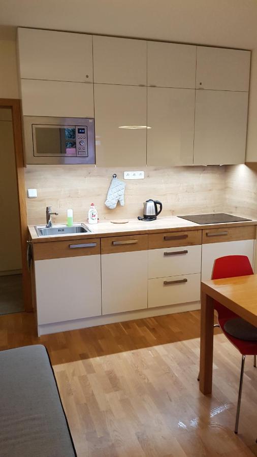 Rokytka Apartman 217 ロキトニツェ・ナト・イゼロウ エクステリア 写真