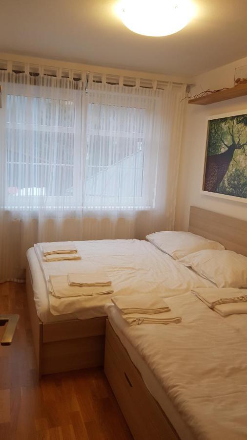 Rokytka Apartman 217 ロキトニツェ・ナト・イゼロウ エクステリア 写真